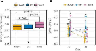 Enhanced gut microbiome supplementation of essential amino acids in Diploptera punctata fed low-protein plant-based diet